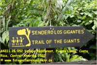 44211 26 052 Veruga Rainforest, Puerto Limon, Costa Rica, Central-Amerika 2022.jpg